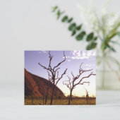 オーストラリアのはがき ポストカード (スタンド正面)