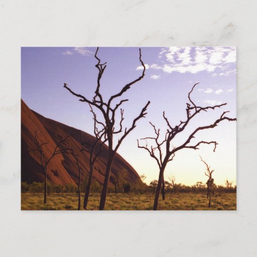 オーストラリアのはがき ポストカード (正面)