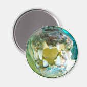 オーストラリアのアイコン – ビッグCroc Terry – マグネット (正面/裏面)