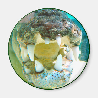 オーストラリアのアイコン – ビッグCroc Terry – マグネット