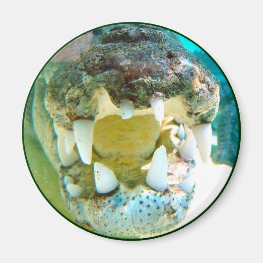 オーストラリアのアイコン – ビッグCroc Terry – マグネット (正面)