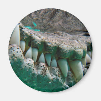 オーストラリアのアイコン – Big Croc Terry 2 – マグネット