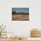 オーストラリアのアウトバックで砂漠のラクダの放牧 ポスター (キッチン)