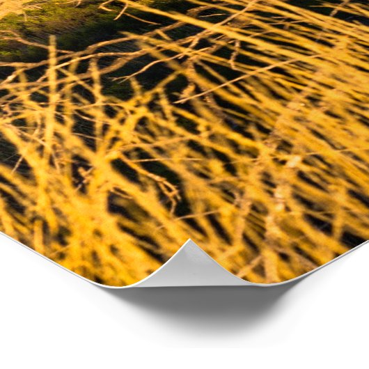 オーストラリアのアウトバックにあるウルル・エアーズロック ポスター (角)