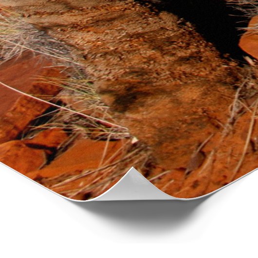 オーストラリアのアウトバック砂漠のポスター ポスター (角)