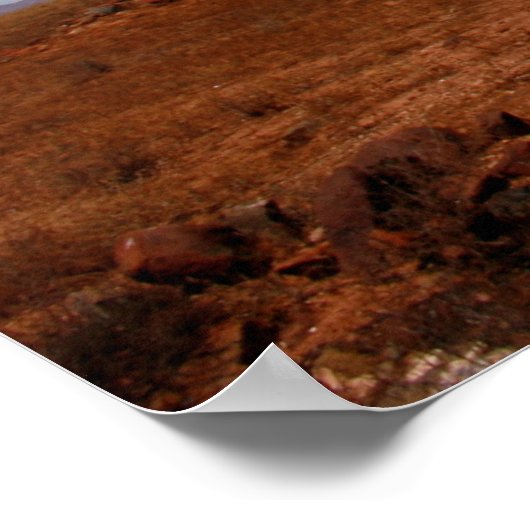 オーストラリアのアウトバック・フリンダーズ山脈のポスター ポスター (角)