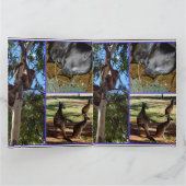 オーストラリアのアナルズ写真館 カード (内部)