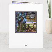 オーストラリアのアナルズ写真館 カード (裏面)