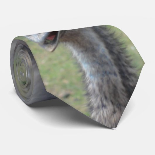 オーストラリアのエミュー ネクタイ (ロール)