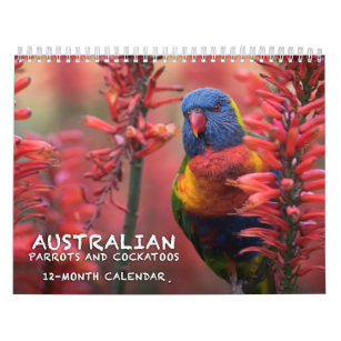 オーストラリアのオウム及びオウムのカレンダー- 3つのサイズ カレンダー