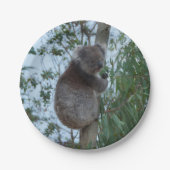 オーストラリアのカンガルー島かわいいコアラの木 ペーパープレート (正面)