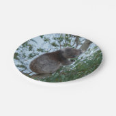 オーストラリアのカンガルー島かわいいコアラの木 ペーパープレート (アングル)