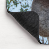 オーストラリアのカンガルー島かわいいコアラの木 マウスパッド (コーナー)