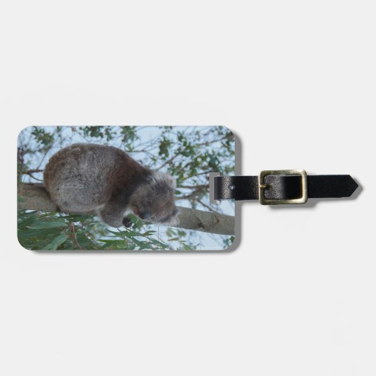 オーストラリアのカンガルー島かわいいコアラの木 ラゲッジタグ (正面横)