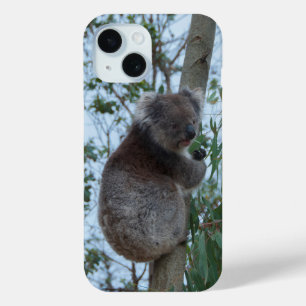オーストラリアのカンガルー島コアラの木 iPhone 15ケース