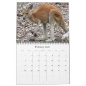 オーストラリアのカンガルー2025 カレンダー (2月 2026)