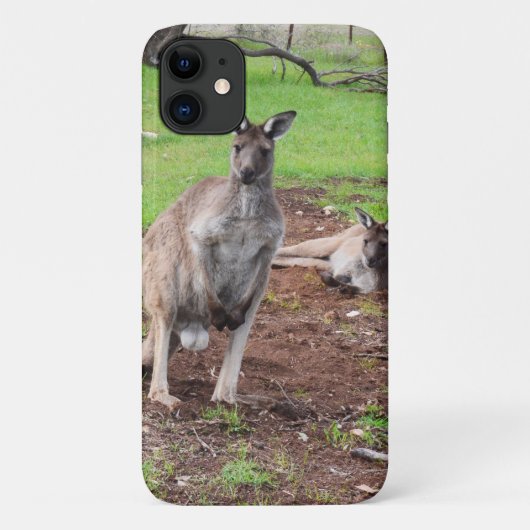 オーストラリアのカンガルー・カップル Case-Mate iPhoneケース (裏面)