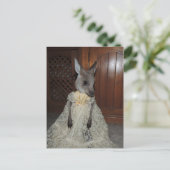 オーストラリアのカンガルー ポストカード (スタンド正面)