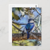 オーストラリアのクィーンズランド ポストカード (正面/裏面)