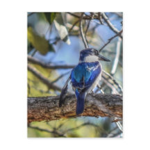 オーストラリアのクィーンズランド