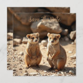 オーストラリアのクオッカの双子 セーブザデート (正面/裏面)