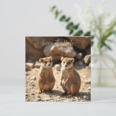 オーストラリアのクオッカの双子 セーブザデート (スタンド正面)