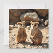 オーストラリアのクオッカの双子 セーブザデート (裏面)