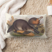 オーストラリアのクッションの動物 ランバークッション (ブランケット)