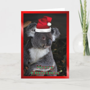 オーストラリアのクリスマスのコアラのクリスマスのクリスマス動物 シーズンカード