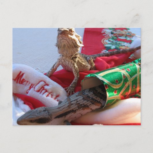 オーストラリアのクリスマスの郵便はがき シーズンポストカード (正面)