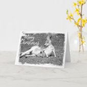 オーストラリアのクリスマスグリーティングカード カード (黄色い花)