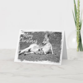 オーストラリアのクリスマスグリーティングカード カード