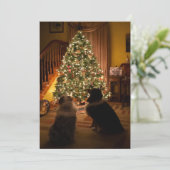 オーストラリアのクリスマス シーズンカード (スタンド正面)