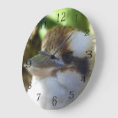 オーストラリアのクーカブラ・クローズアップ。 ラージ壁時計 (傾斜)