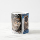 オーストラリアのクークカ コーヒーマグカップ (中央)