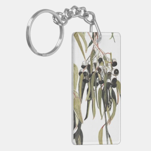 オーストラリアのグムナッツの水色 キーホルダー (正面左)