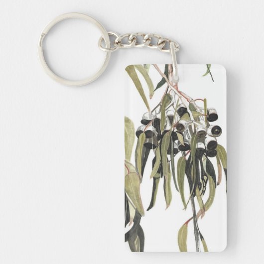 オーストラリアのグムナッツの水色 キーホルダー (正面)