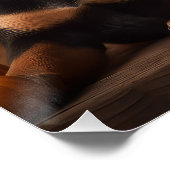 オーストラリアのケルパイパピー秋の喜びカボチャ ポスター (コーナー)