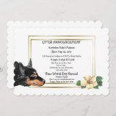 オーストラリアのケルピー子犬の誕生のお知らせ 案内状 (正面/裏面)