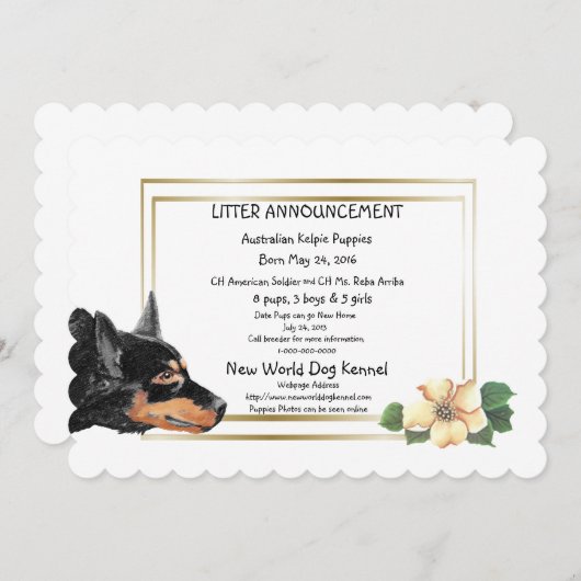 オーストラリアのケルピー子犬の誕生のお知らせ 案内状 (正面/裏面)
