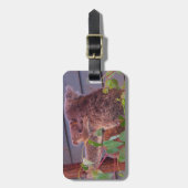 オーストラリアのコアラとベビー ラゲッジタグ (正面縦)