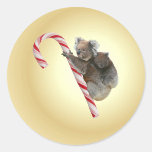 オーストラリアのコアラのクリスマスキャンディーケーン ラウンドシール