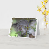 オーストラリアのコアラの挨拶状 カード (黄色い花)