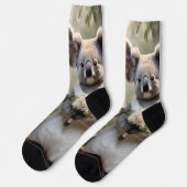 オーストラリアのコアラ結婚・ベア・ホワイト ソックス (左)