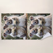 オーストラリアのコアラ結婚・ベア・ホワイト ビーチタオル (正面)