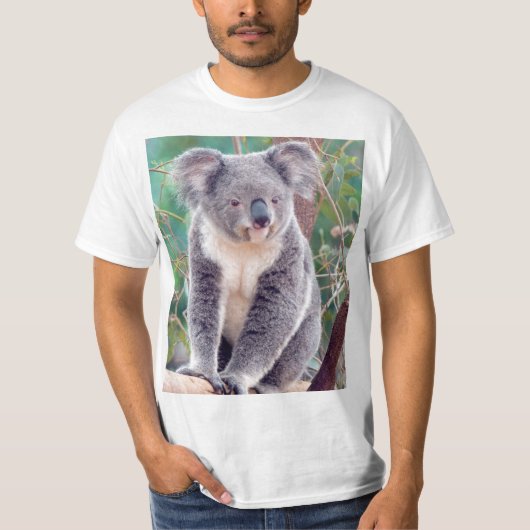 オーストラリアのコアラ Tシャツ (正面)