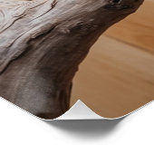 オーストラリアのコカブラが木の野生動物アートに ポスター (コーナー)