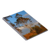 オーストラリアのゴムの木のノート ノートブック (右側)