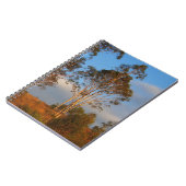 オーストラリアのゴムの木のノート ノートブック (左側)