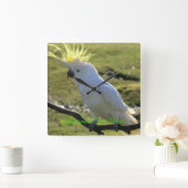 オーストラリアのサルファ・クリステッド・コッカトゥー スクエア壁時計 (ホーム)